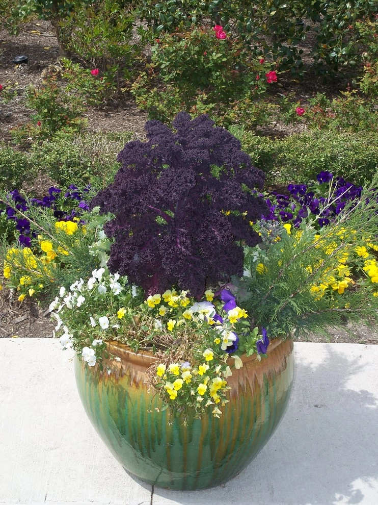 Containers by Dreamscapes LLC - Photo 2