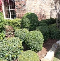Dehart Landscape Installation by Dreamscapes LLC - Photo 5