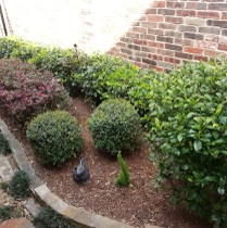 Dehart Landscape Installation by Dreamscapes LLC - Photo 7