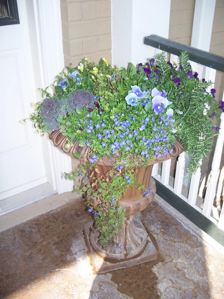 Containers by Dreamscapes LLC - Photo 4