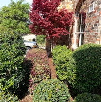 Dehart Landscape Installation by Dreamscapes LLC - Photo 4