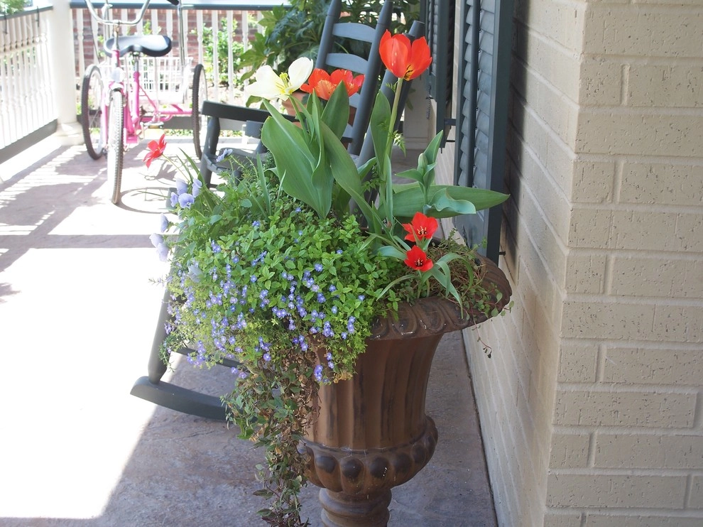 Containers by Dreamscapes LLC - Photo 3