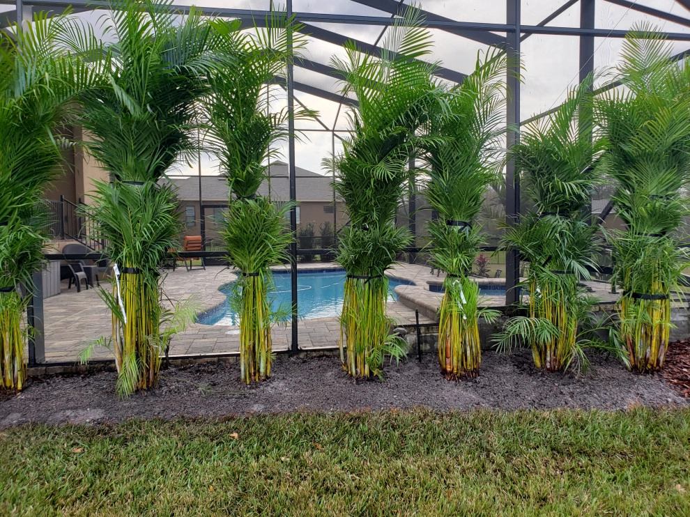 Landscape Gallery by Dreamscapes Outdoor Living & Design - Photo 13