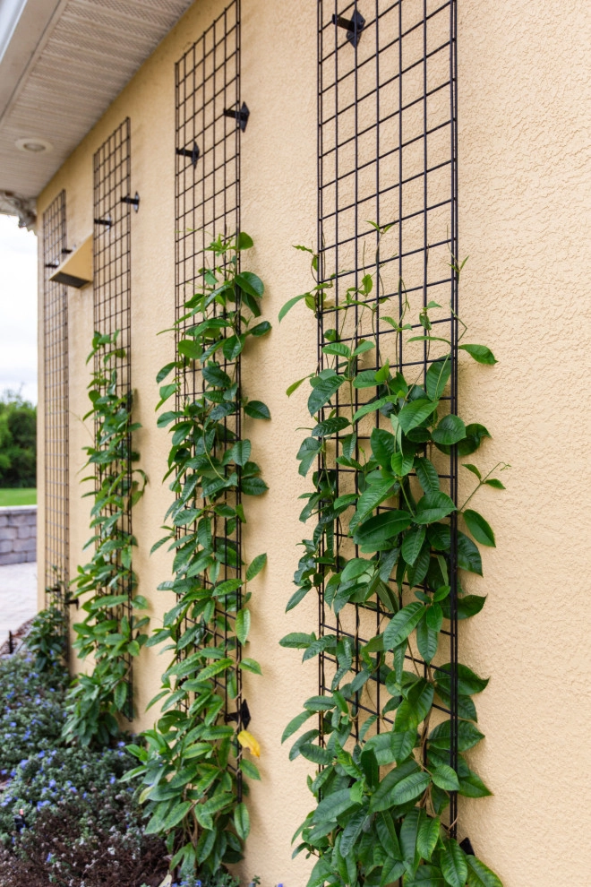 Landscape Gallery by Dreamscapes Outdoor Living & Design - Photo 22