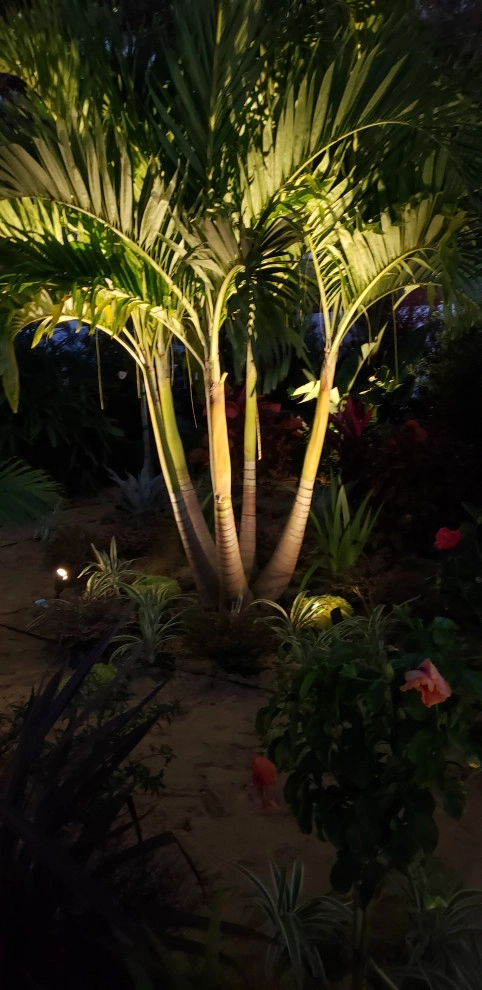 Landscape Gallery by Dreamscapes Outdoor Living & Design - Photo 16