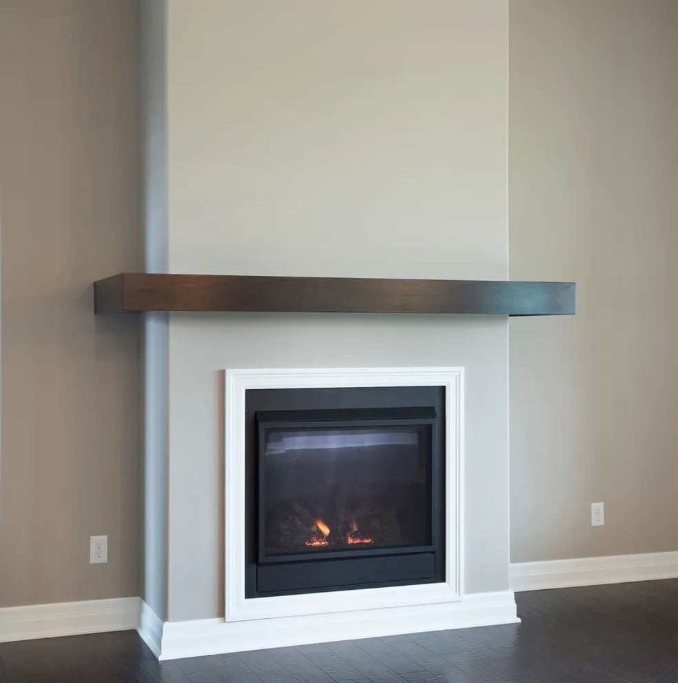 Adriana Transitional Residence by Paul Gray Homes - Photo 2