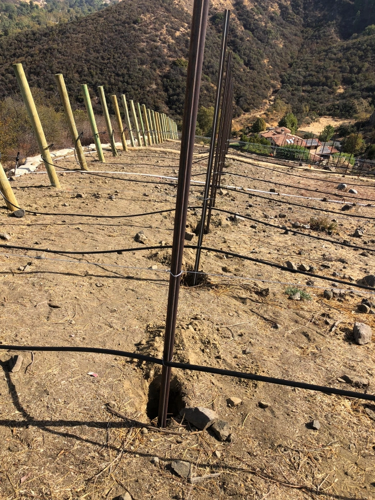 Wine Vineyards by Drip DTS Design And Build - Photo 3