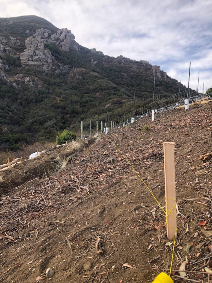 Wine Vineyards by Drip DTS Design And Build - Photo 5