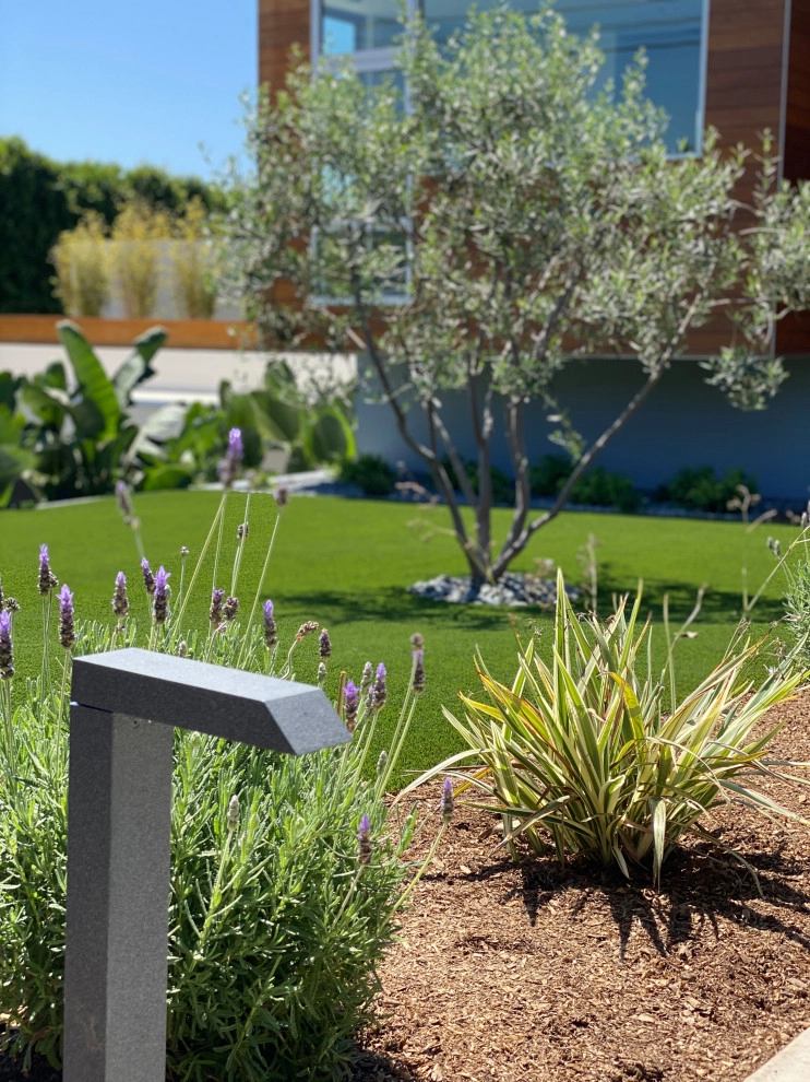 Morning View by Drip DTS Design And Build - Photo 32