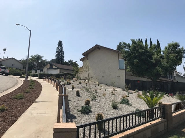 Landscaping by Drip DTS Design And Build - Photo 8