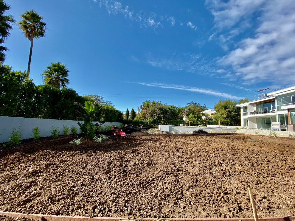 Morning View by Drip DTS Design And Build - Photo 16