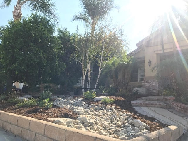 Landscaping by Drip DTS Design And Build - Photo 5