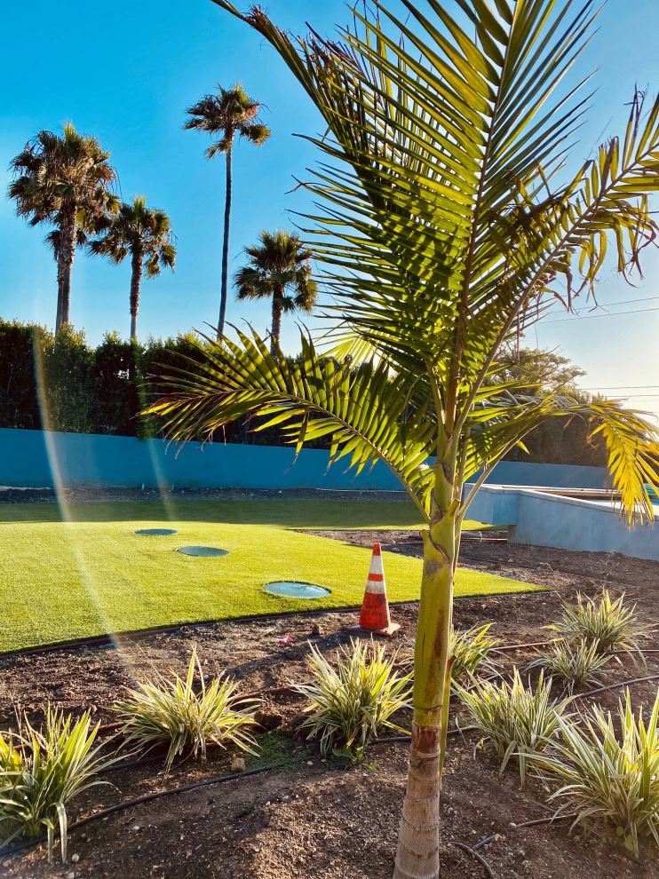 Morning View by Drip DTS Design And Build - Photo 44