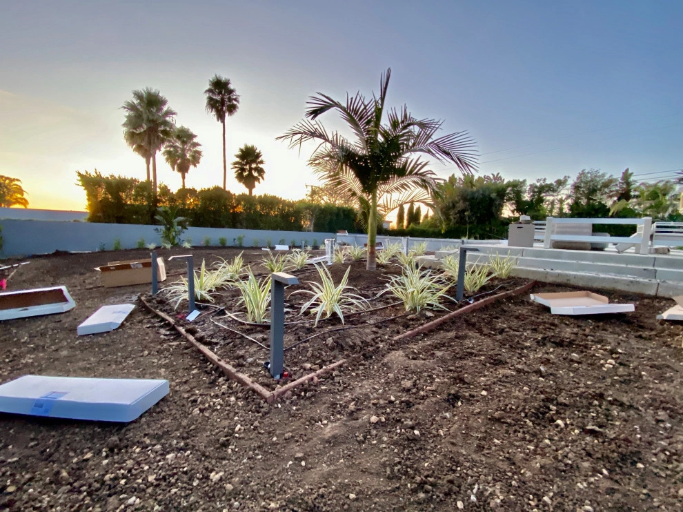 Morning View by Drip DTS Design And Build - Photo 39