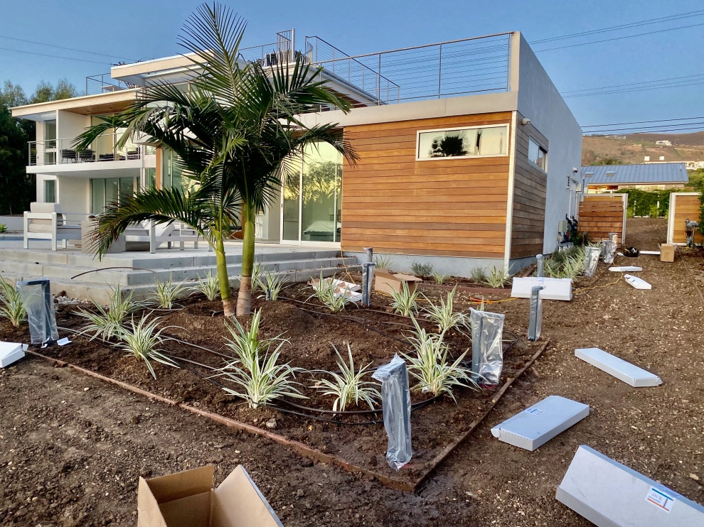 Morning View by Drip DTS Design And Build - Photo 13