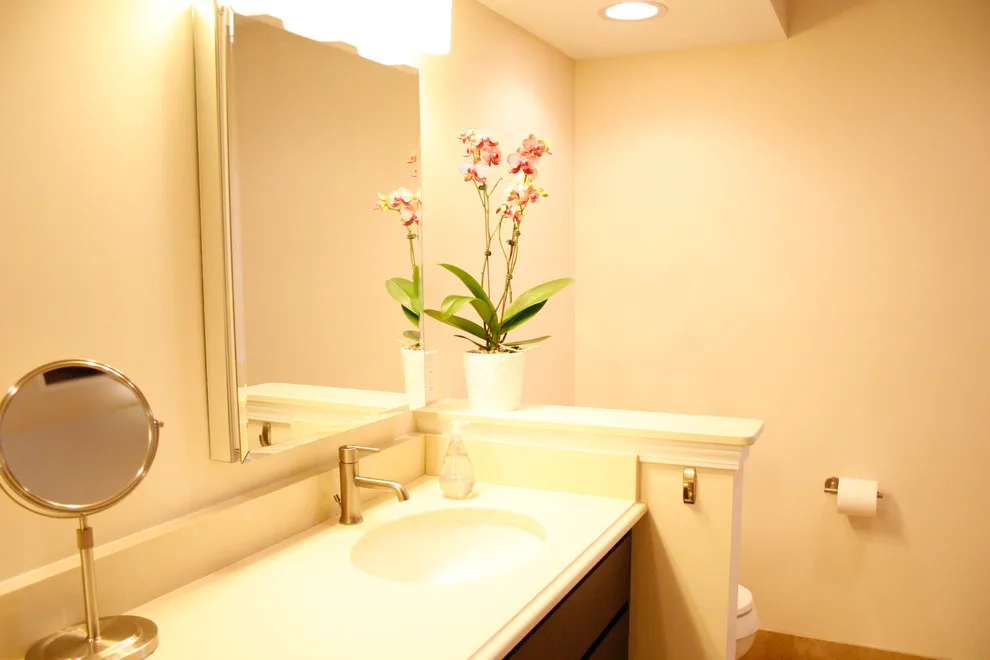 St. Clair Shores Primary Suite Renovation by Kopke Remodeling & Design - Photo 24