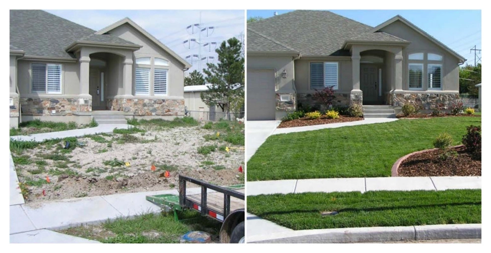 Before and After by DSLD Land Management Company, Inc. - Photo 4
