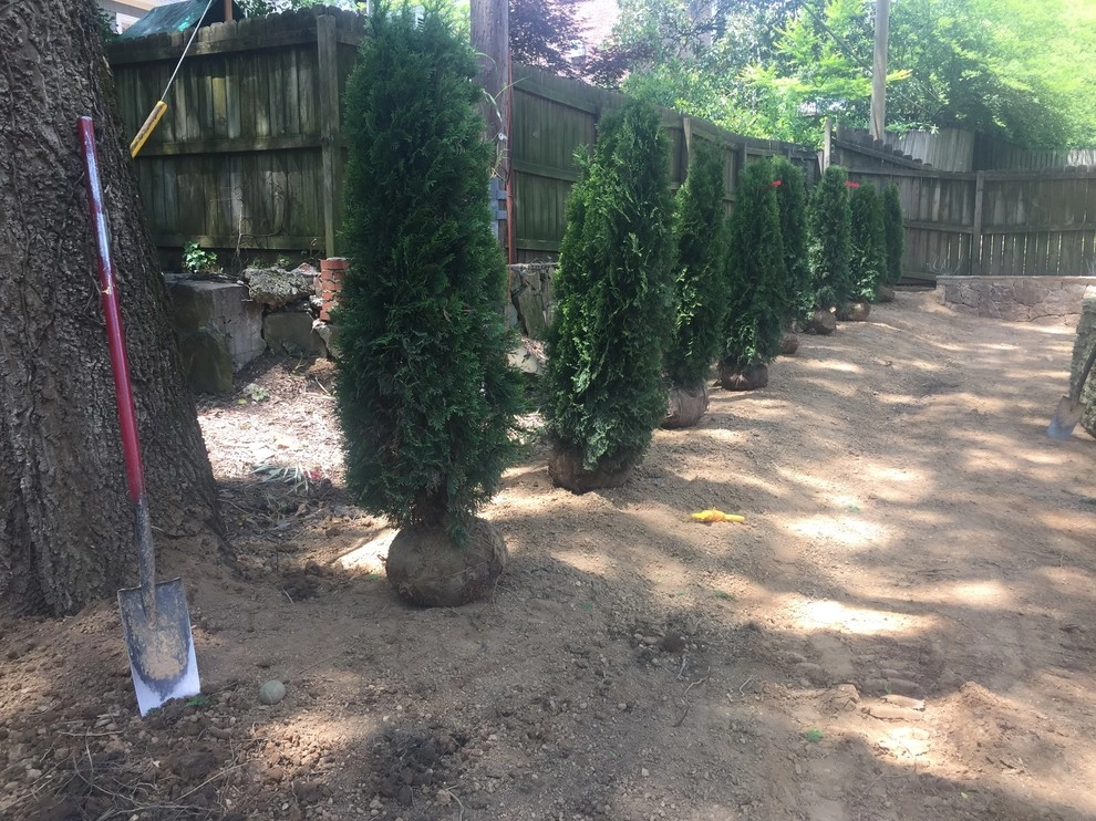 Homewood Backyard Landscaping by DSLD Land Management Company, Inc. - Photo 10