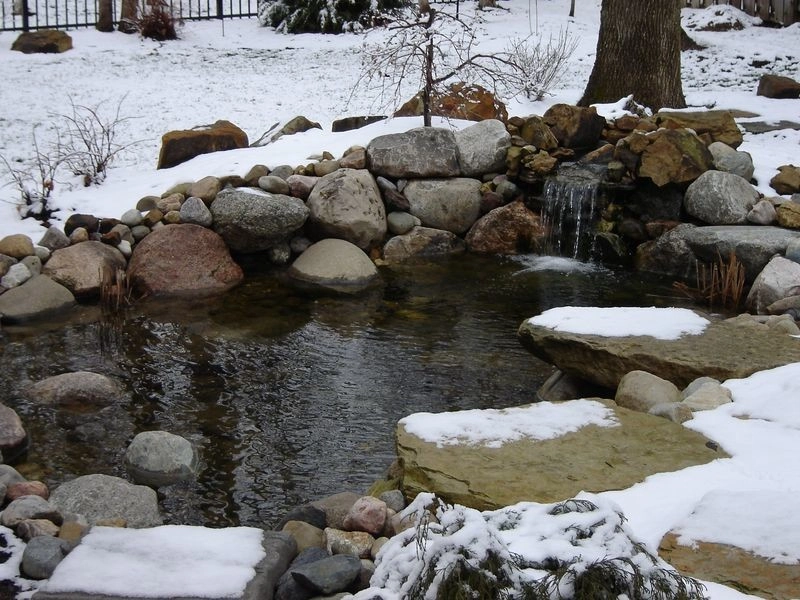 Ponds by Eagleson Landscape Co. - Photo 17