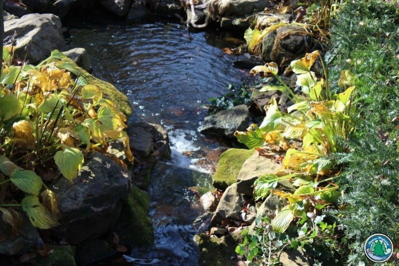 The Lifecycle of Landscape Designs by Eagleson Landscape Co. - Photo 5