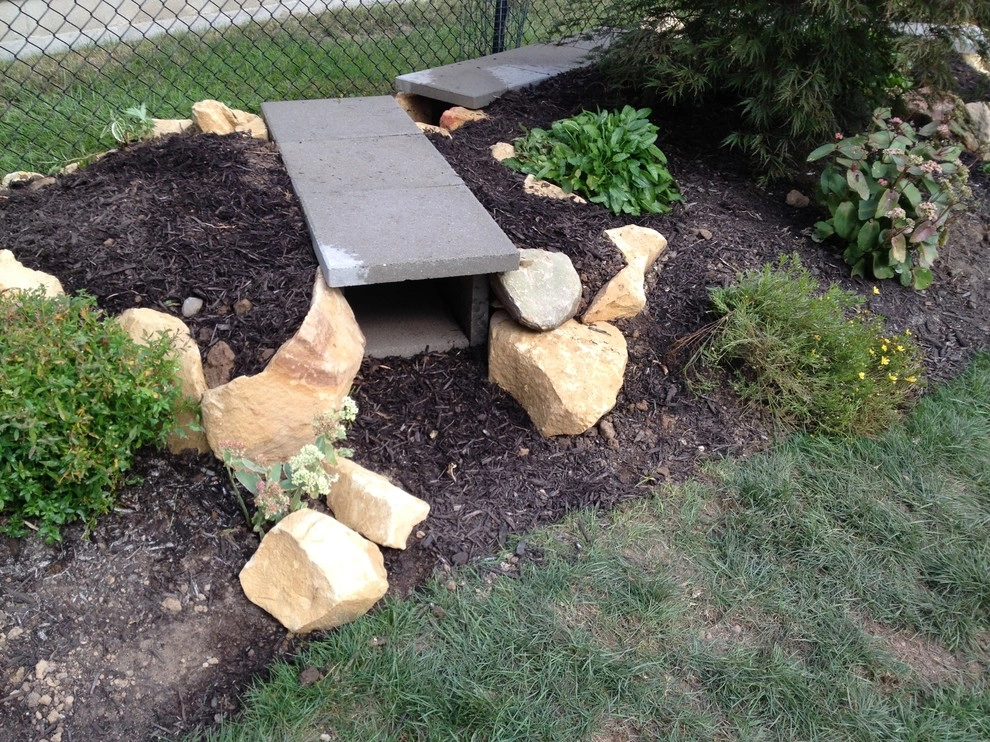 Dog Friendly Landscape by Eagleson Landscape Co. - Photo 5