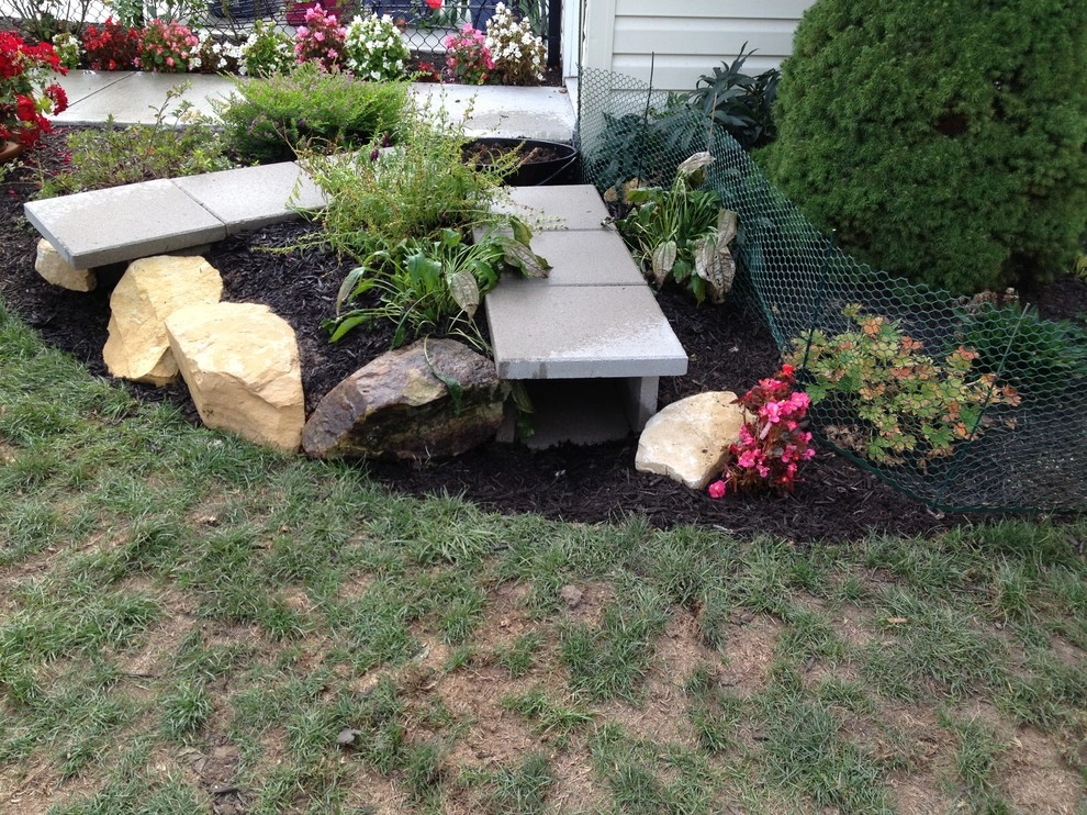Dog Friendly Landscape by Eagleson Landscape Co. - Photo 7