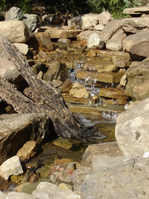 Ponds by Eagleson Landscape Co. - Photo 12