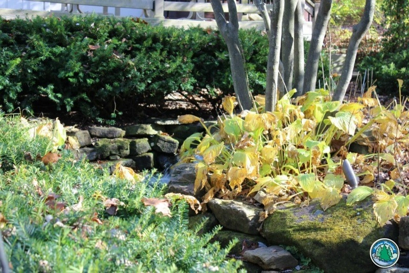 The Lifecycle of Landscape Designs by Eagleson Landscape Co. - Photo 2