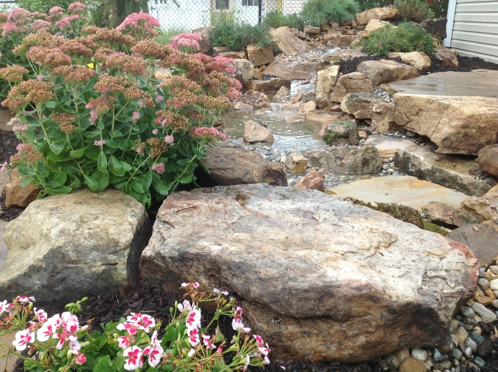 Dog Friendly Landscape by Eagleson Landscape Co. - Photo 3