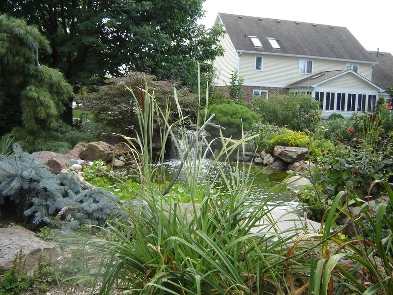 Ponds by Eagleson Landscape Co. - Photo 2