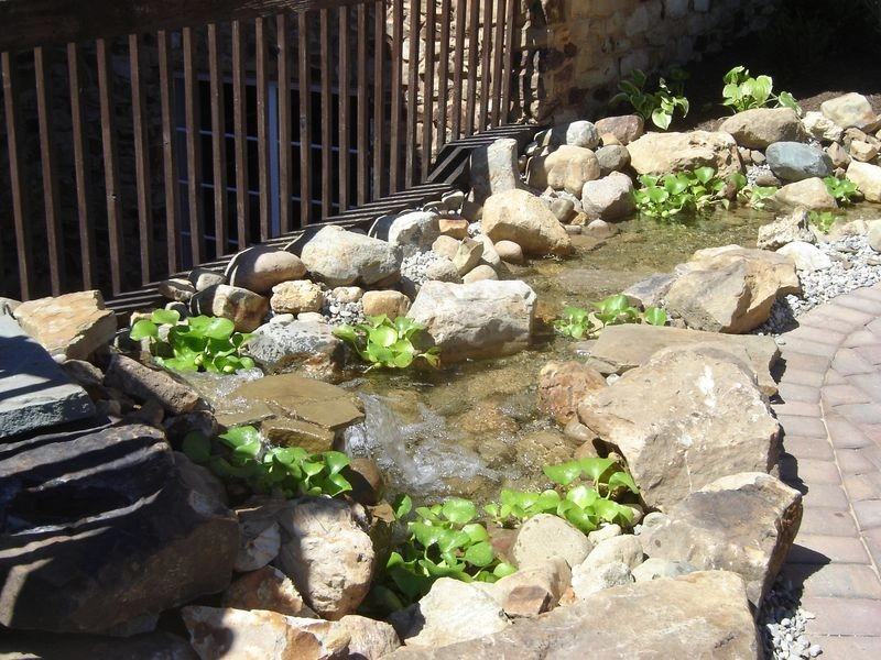 Ponds by Eagleson Landscape Co. - Photo 4
