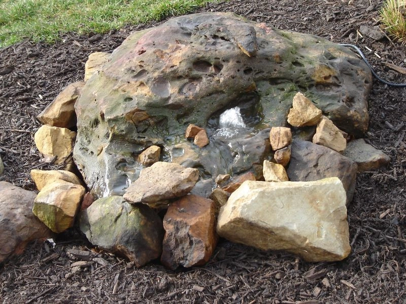 Ponds by Eagleson Landscape Co. - Photo 8