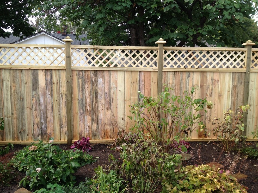 Dog Friendly Landscape by Eagleson Landscape Co. - Photo 2