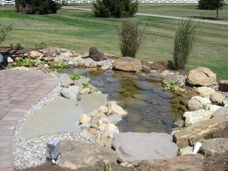Ponds by Eagleson Landscape Co. - Photo 10