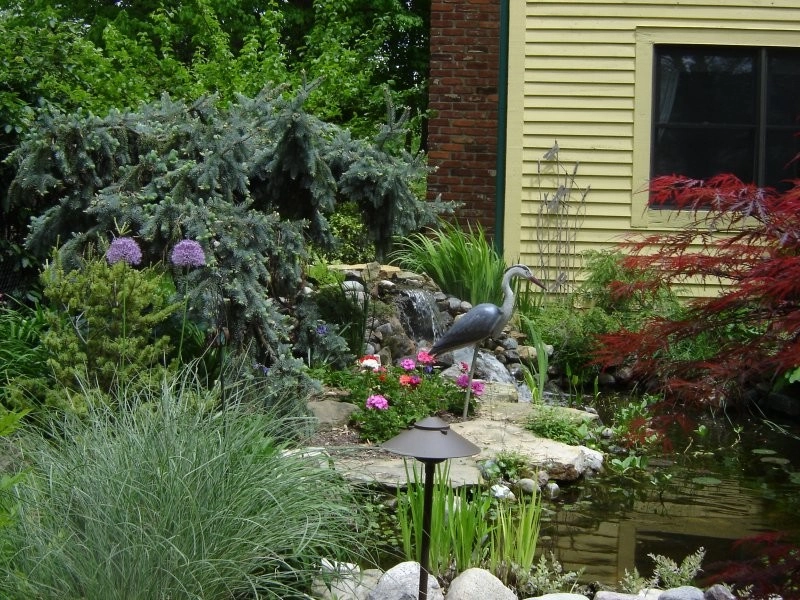 Ponds by Eagleson Landscape Co. - Photo 3
