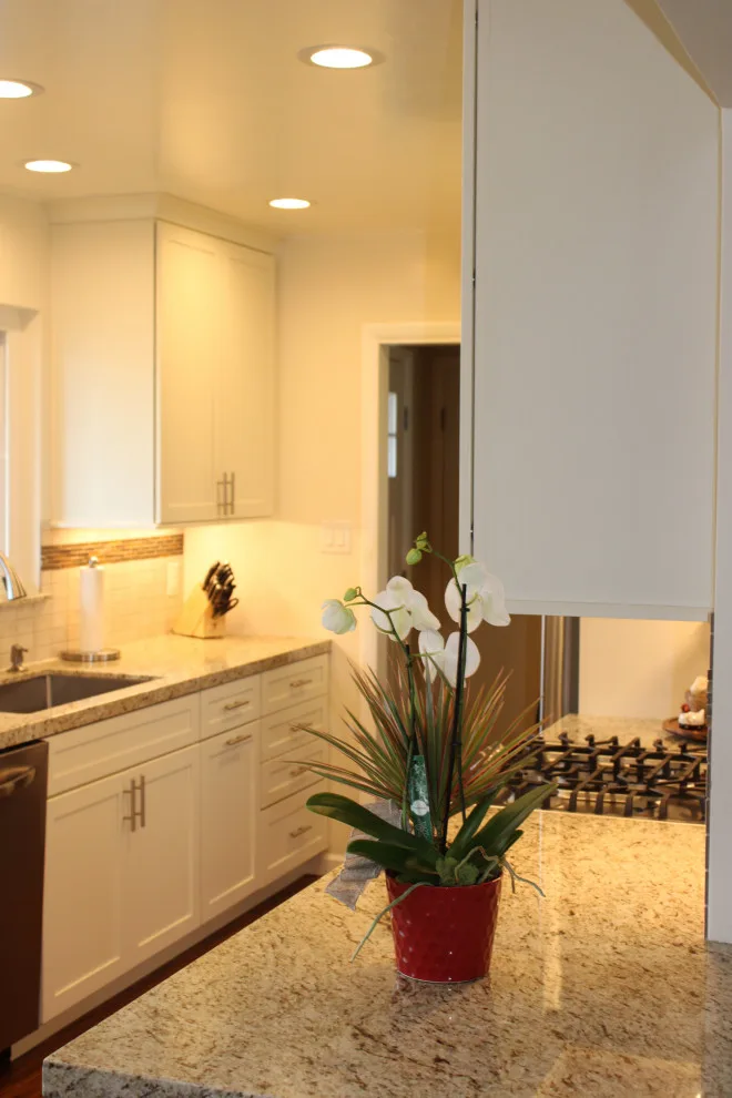 Dawn Avian Enclosure by DLM Designer/Remodeler Kitchen And Bath Plus - Photo 9