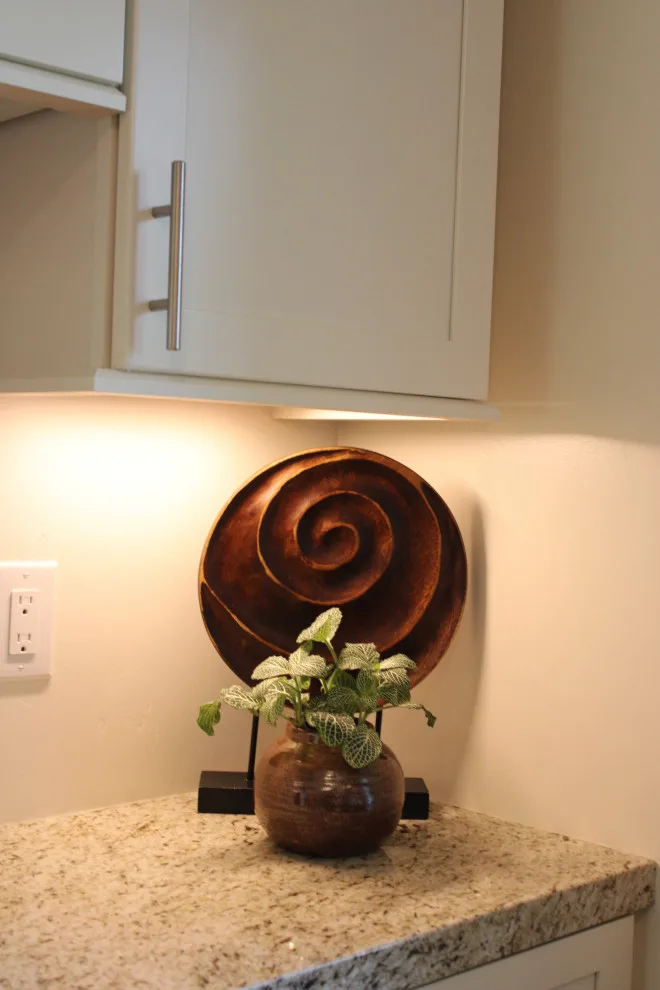 Dawn Avian Enclosure by DLM Designer/Remodeler Kitchen And Bath Plus - Photo 8