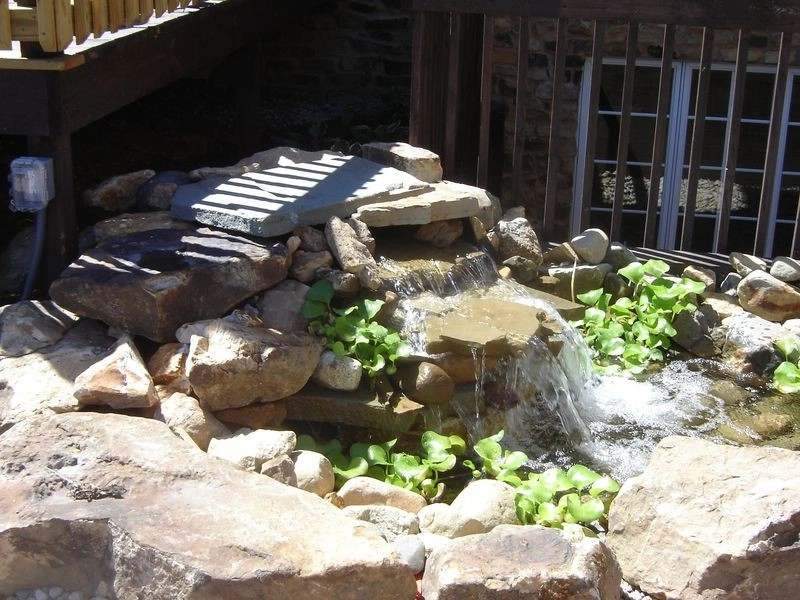 Ponds by Eagleson Landscape Co. - Photo 16