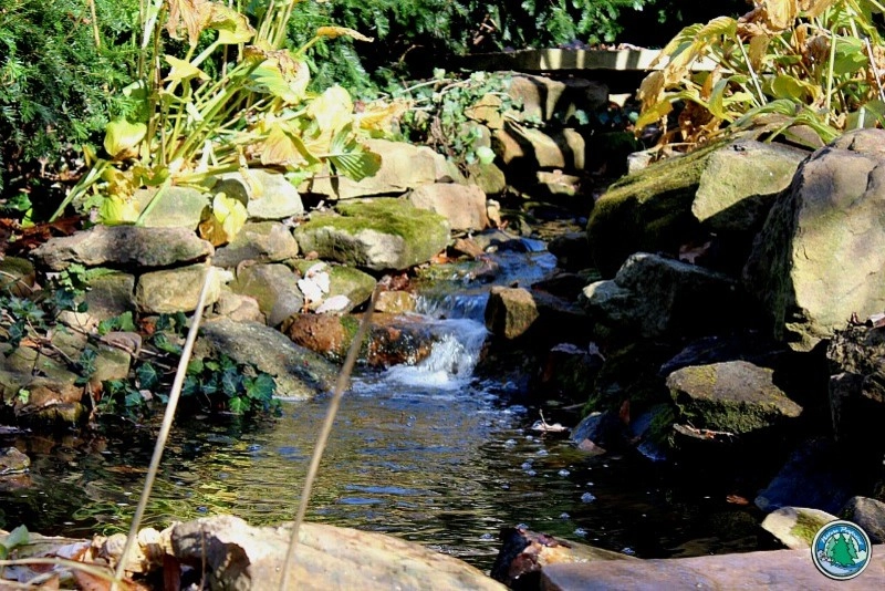 The Lifecycle of Landscape Designs by Eagleson Landscape Co. - Photo 3
