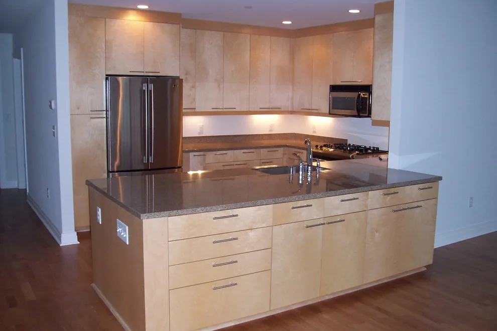 Frick Park Townhouse by North Shore Kitchen Design Center - Photo 8