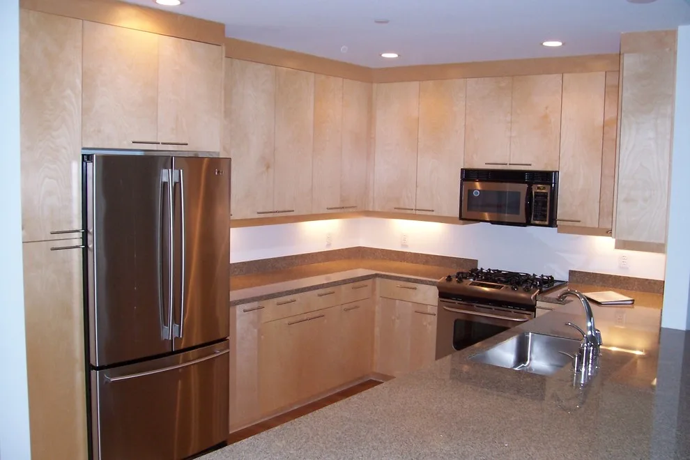 Frick Park Townhouse by North Shore Kitchen Design Center - Photo 3
