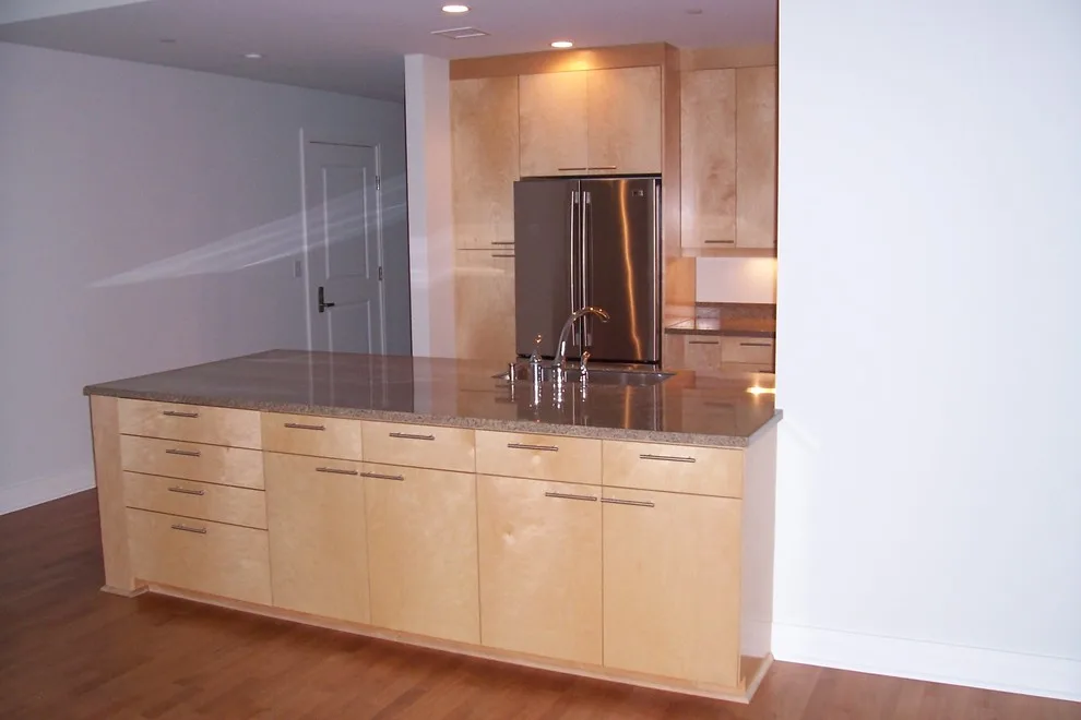 Frick Park Townhouse by North Shore Kitchen Design Center - Photo 2