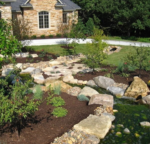 EcoScapes - Photo 5