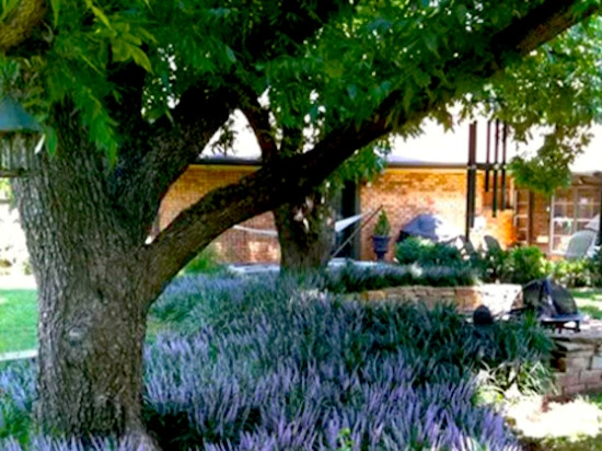 Brassfield Landscaping, LLC. - Photo 5