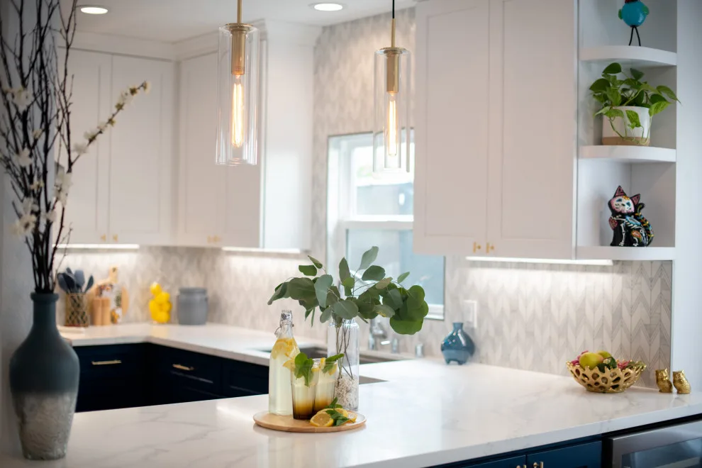 Whole Home Transition by Kaminskiy Design And Remodeling - Photo 24