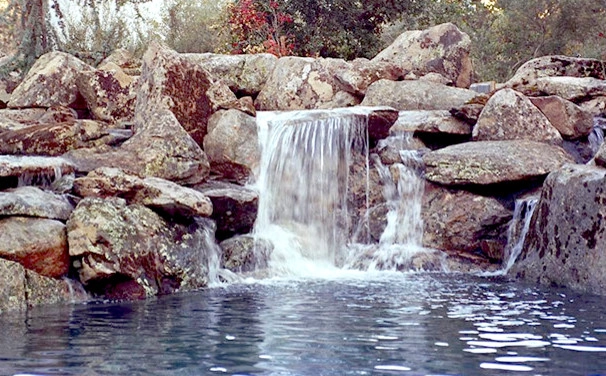Brassfield Landscaping, LLC. - Photo 13