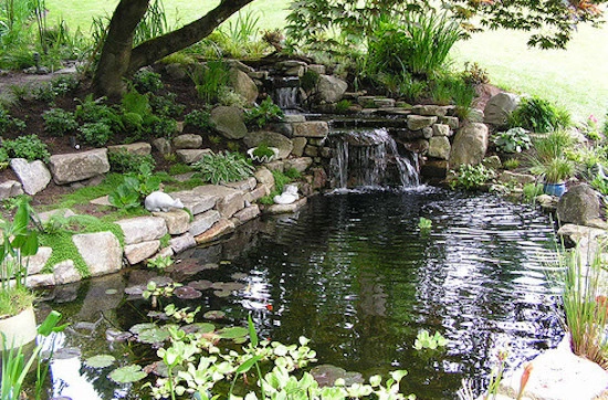 Brassfield Landscaping, LLC. - Photo 8