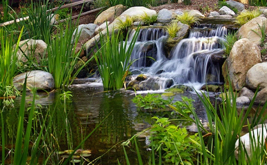 Water Features by Brassfield Landscaping, LLC. - Photo 8