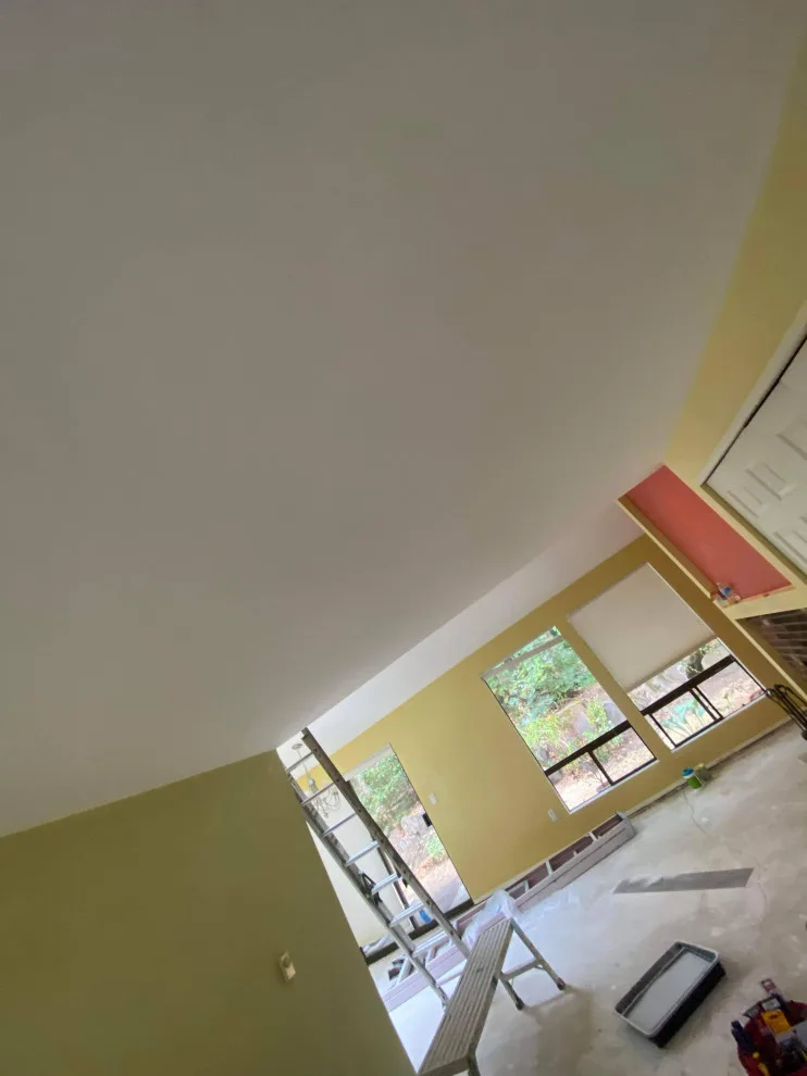 Tukwila Paint and Flooring Solutions by Handyman Rescue Team - Photo 57