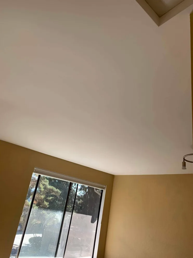 Tukwila Paint and Flooring Solutions by Handyman Rescue Team - Photo 47